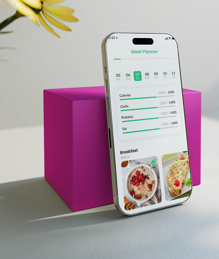 mobile app UI design and user interface development in Lebanon